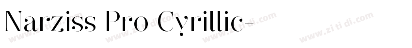 Narziss Pro Cyrillic字体转换